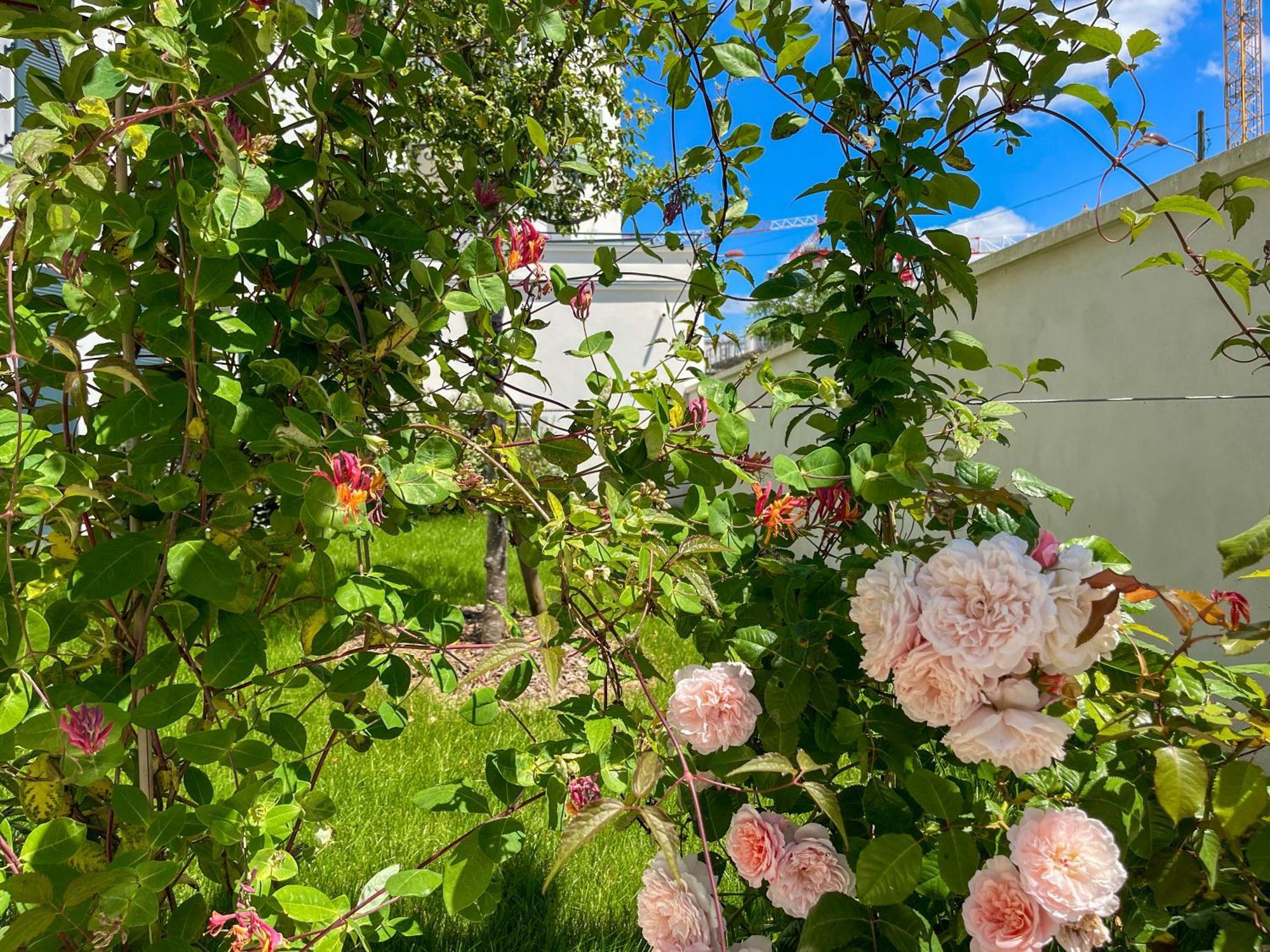 Enjoyable Apartment Disneyland - Rentaway Bnb Serris Eksteriør billede